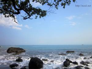 IMG_4158e